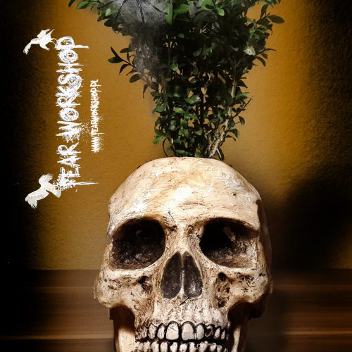 Replika ludzkiej czaszki w skali 1:1 doniczka