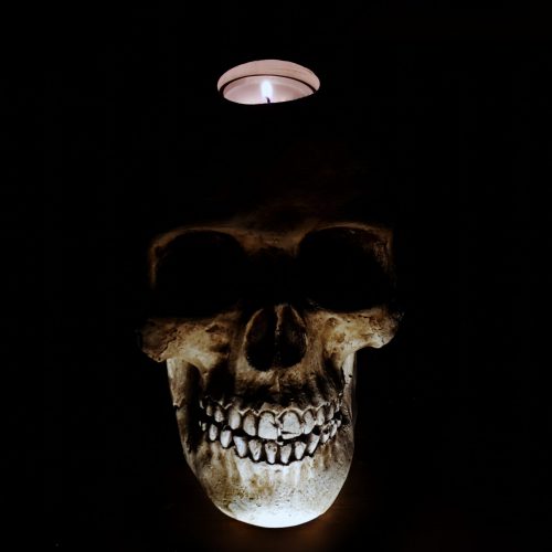 Replika ludzkiej czaszki w skali 1:1 Tlight